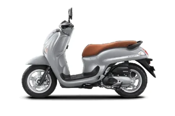 Scoopy