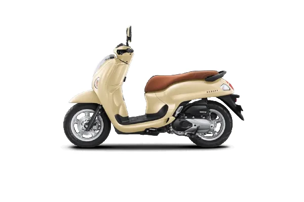 Stylish Beige