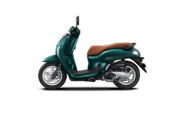 Stylish Green